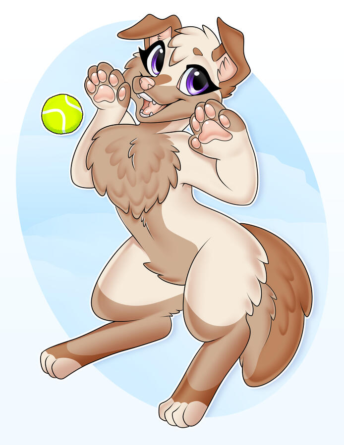Puppy Playing Fetch