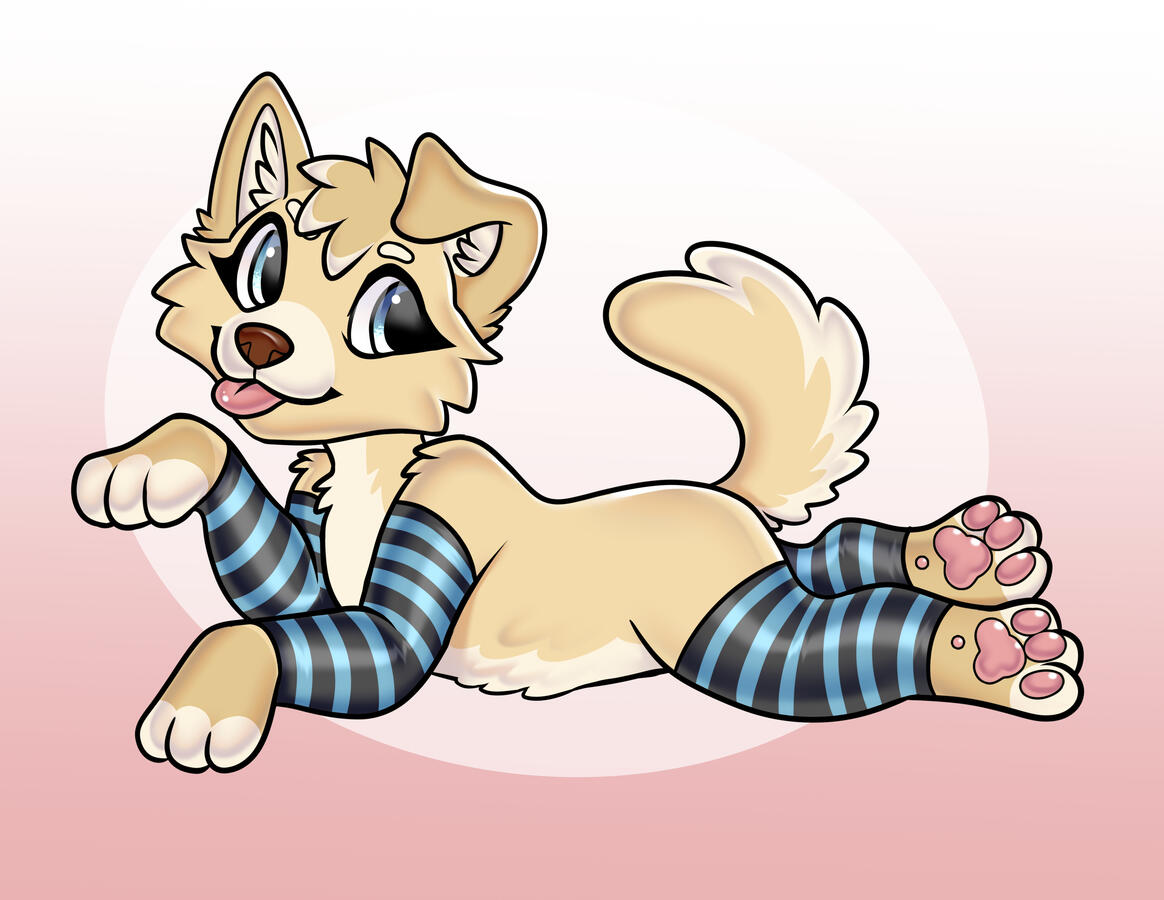 Puppy In Socks